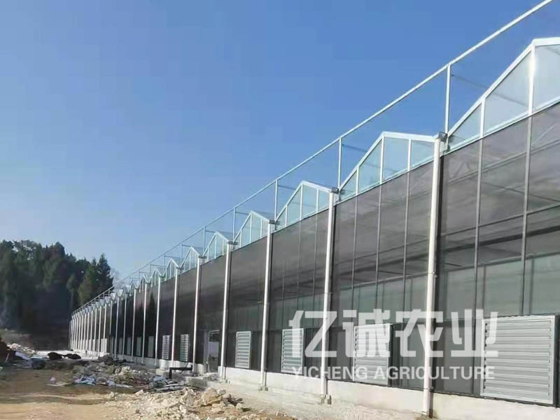 建溫室大棚需要多少錢(qián)？連棟溫室工程造價(jià)