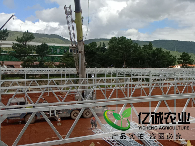 建一畝地溫室大棚多錢？