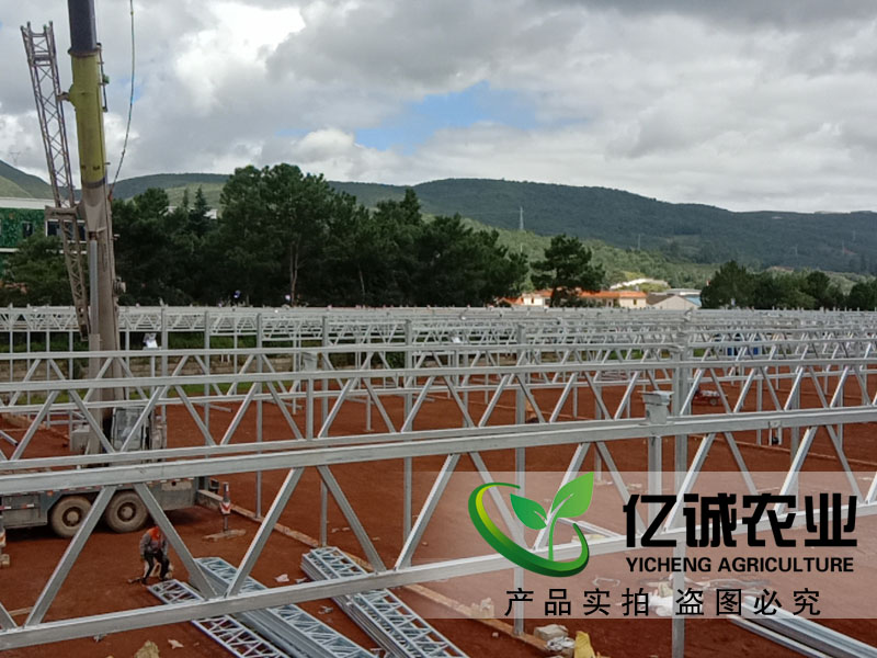 青州玻璃溫室大棚哪家建的比較專業(yè)？性價(jià)比高？