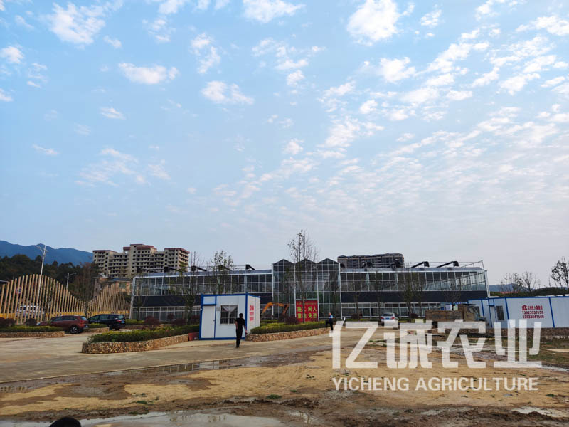現(xiàn)代化連棟溫室大棚建設(shè)有補(bǔ)貼嗎？連溫室大棚造價(jià)多少一畝