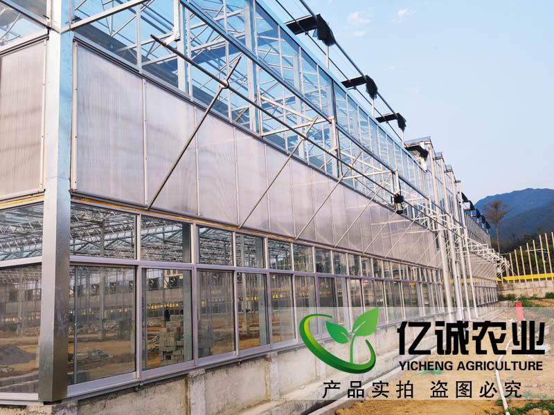 玻璃溫室大棚造價(jià)多少錢一畝？玻璃連棟溫室大棚價(jià)格高不高？